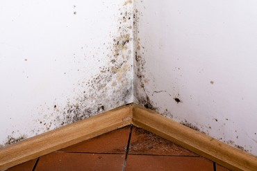 Damp Proofing removal services