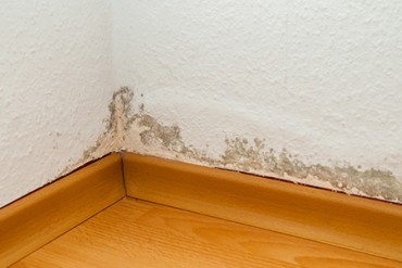 Damp Proofing Services