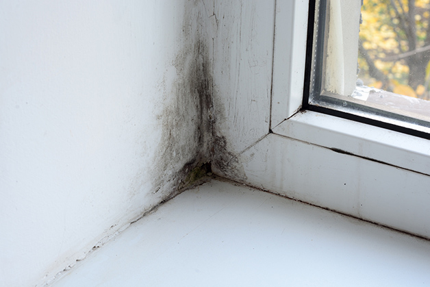 Domestic Damp Proofing